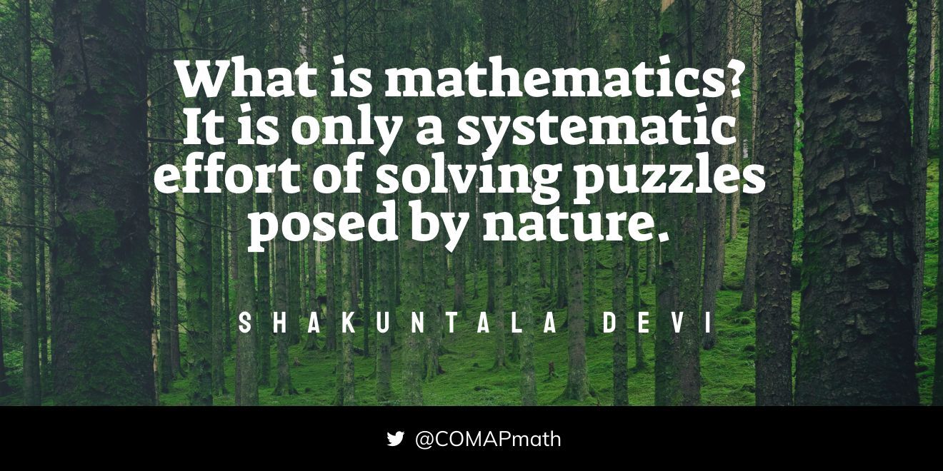 math quote